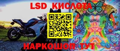 мяу мяу мука Кулебаки
