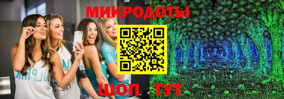 Псилоцибиновые грибы Cubensis Дмитров