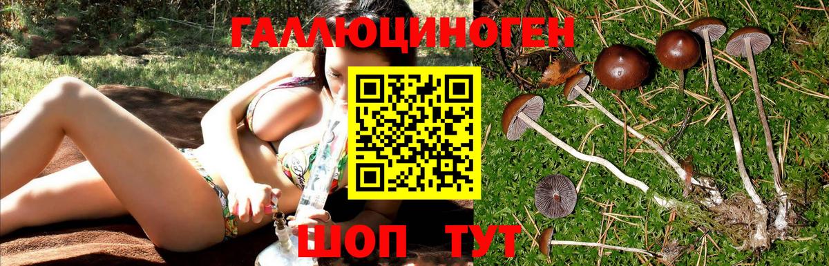 продажа наркотиков  Псилоцибиновые грибы Psilocybe  Вход с VPN  Дмитров 